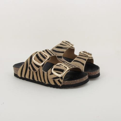noelle e24 beige Scholl