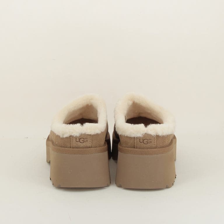 new heights cozy h25