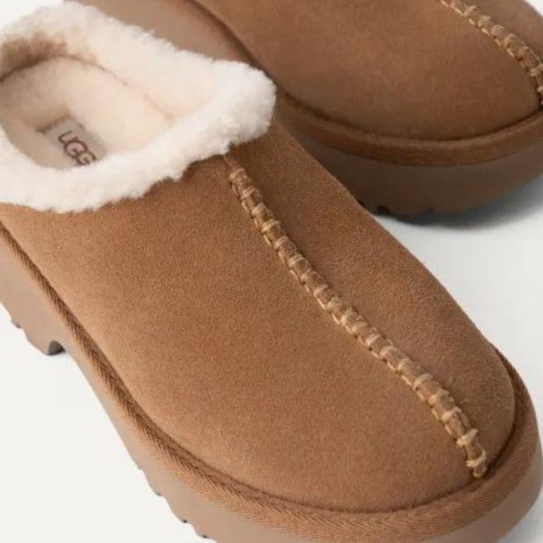 new heights cozy h25