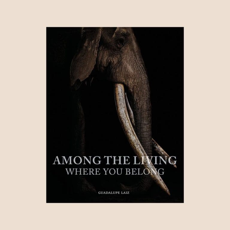 among the living