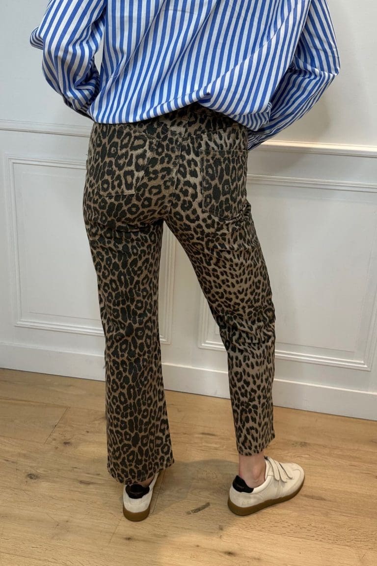 jean solange e25