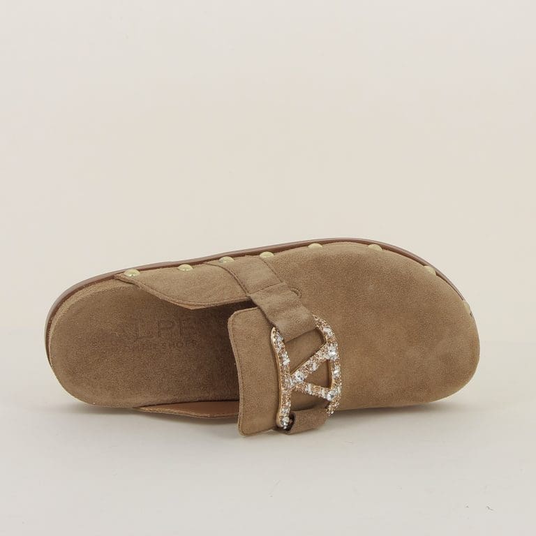 sabot 5394 e25
