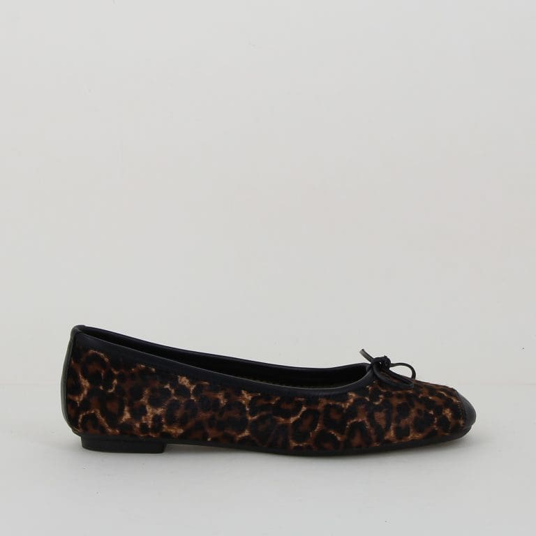 ballerine harmony h2