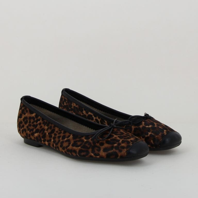 ballerine harmony h2