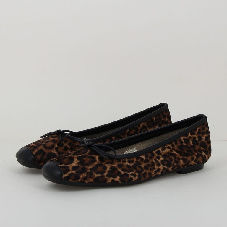 ballerine harmony h2