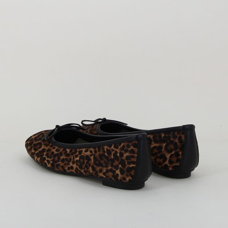 ballerine harmony h2