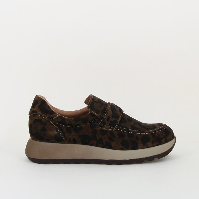 basket carabel h2526
