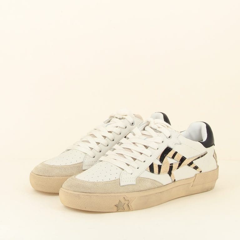 basket moonligt09 h2