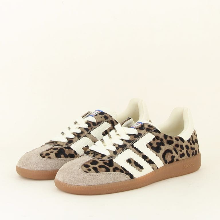 baskets cloud p22 h2