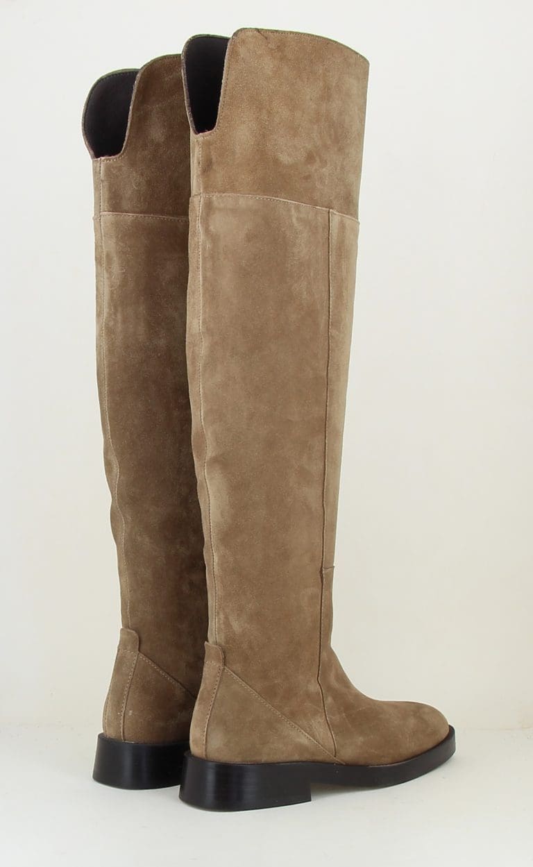 botte 5279 h2526