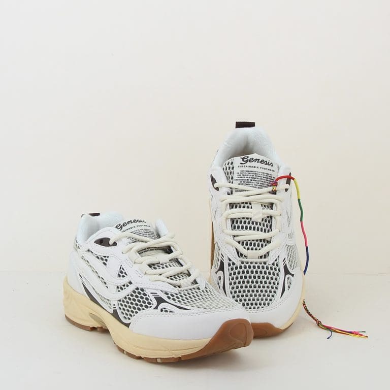 basket eco99 h26