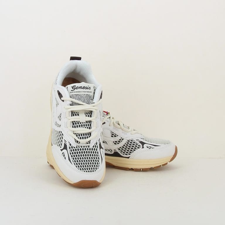 basket eco99 h26