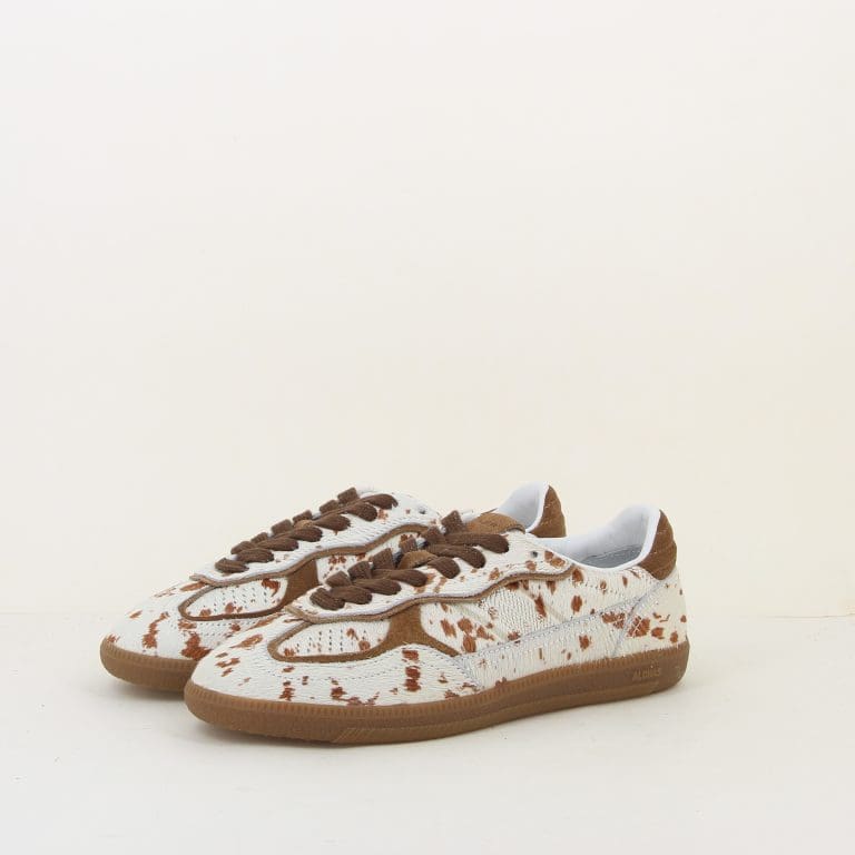 basket tb490 h26
