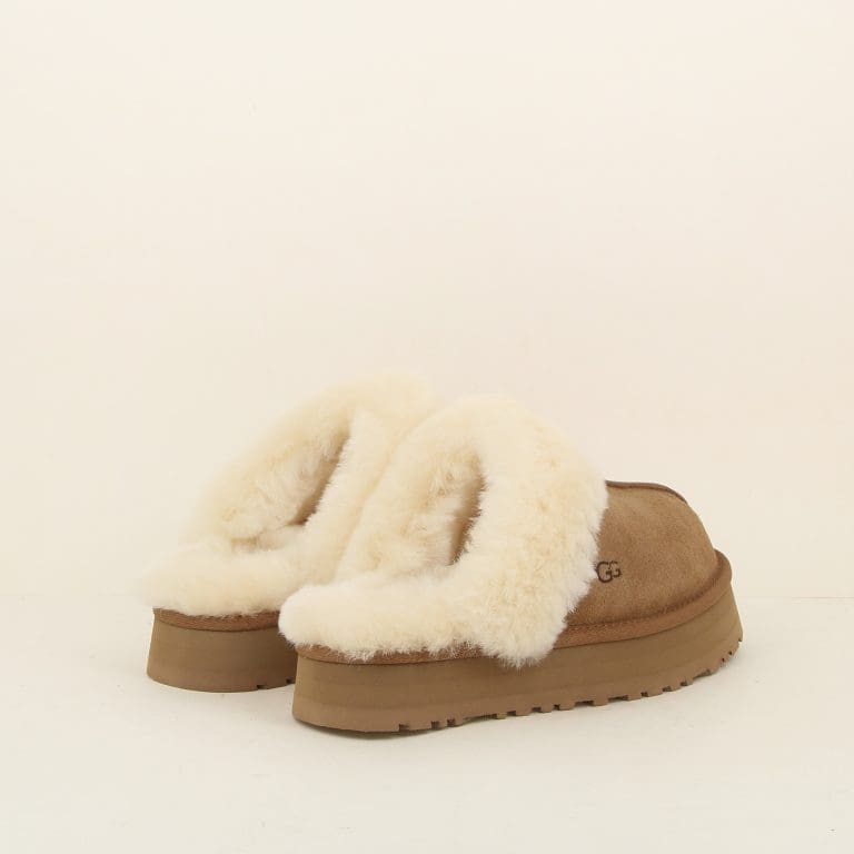 chausson disquette h