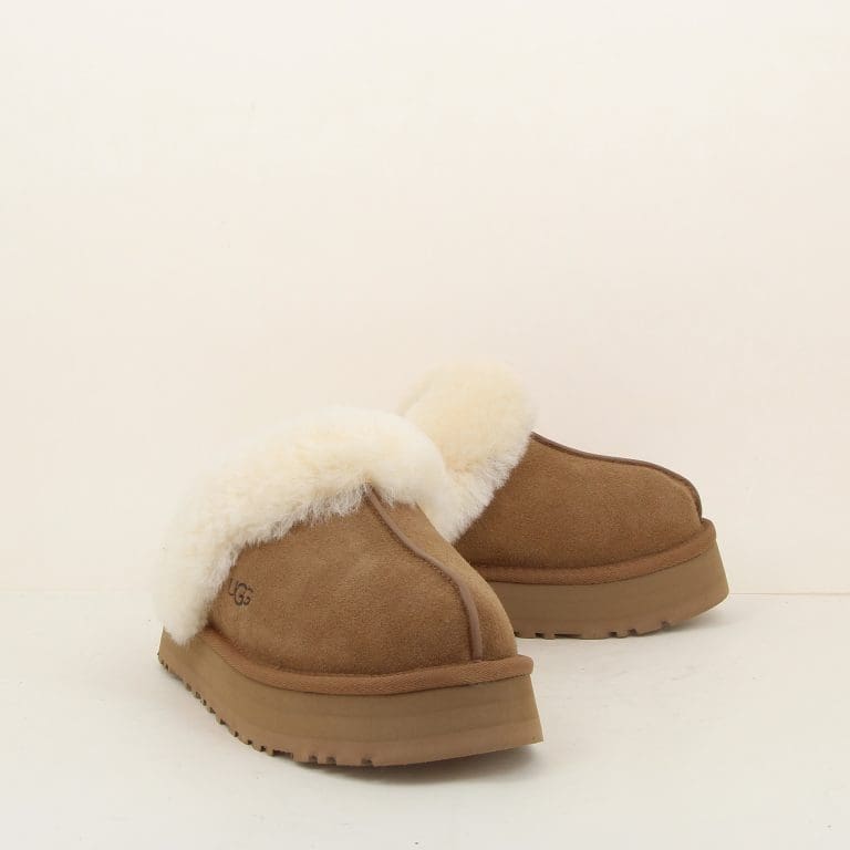 chausson disquette h