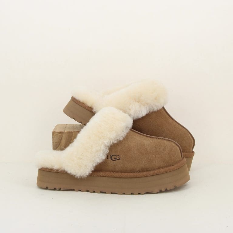 chausson disquette h