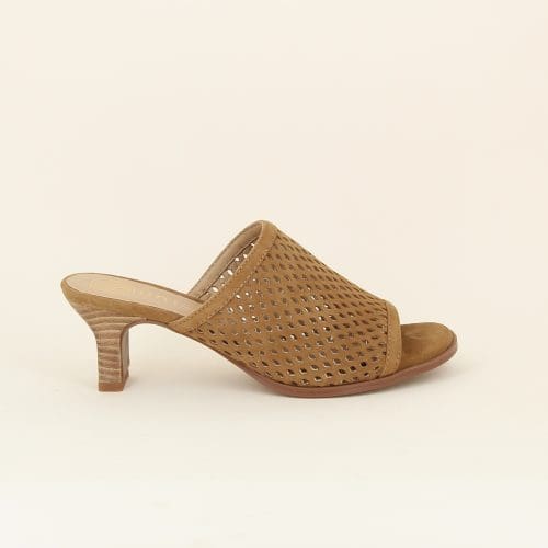 mules labuc camel Unisa