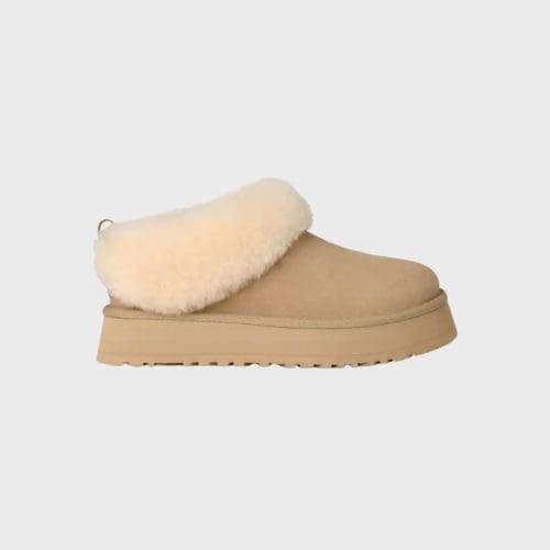 boots tazzle h26 beige UGG