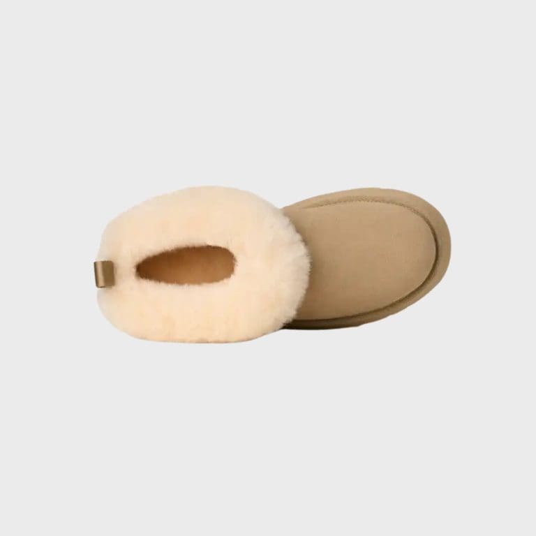boots tazzle h26 beige UGG