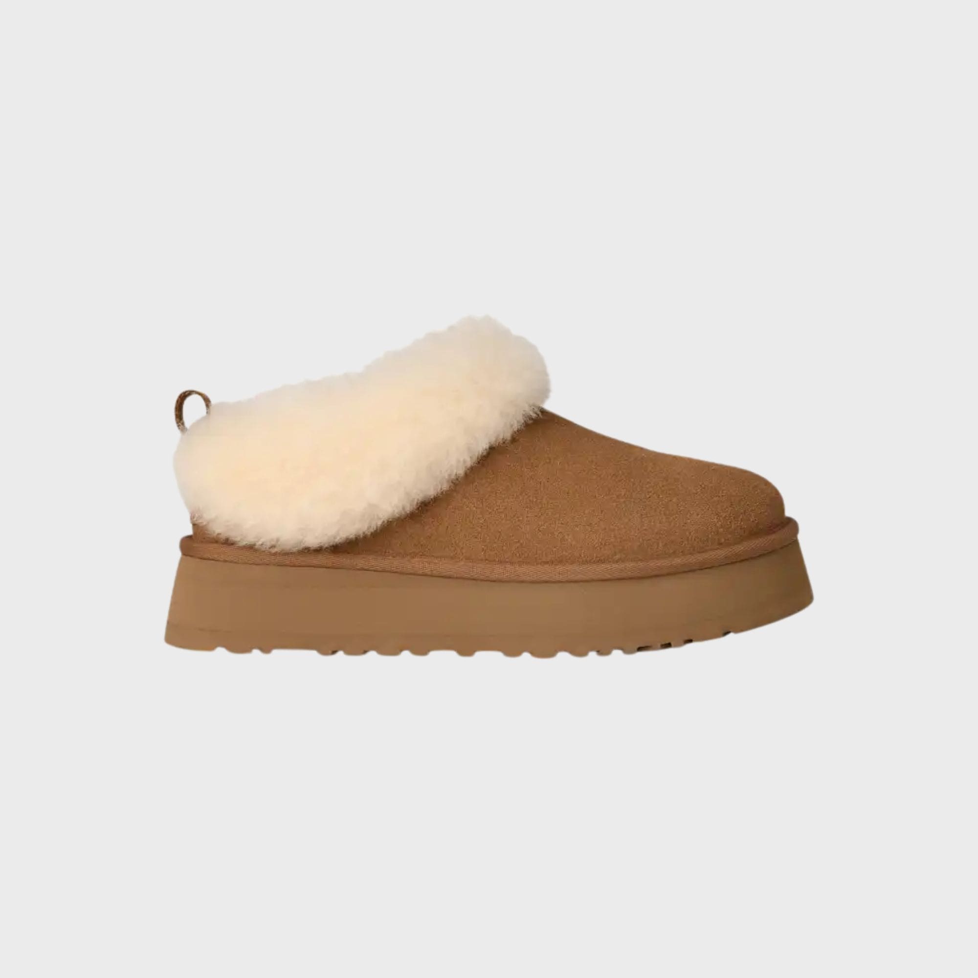 boots tazzle h26 - UGG