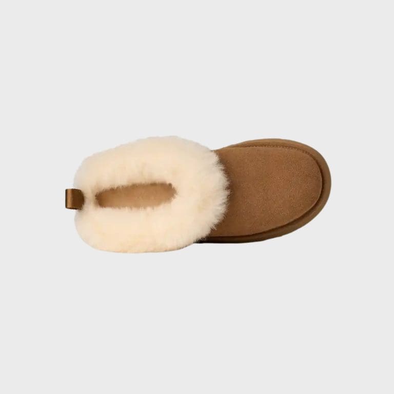 boots tazzle h26 camel UGG