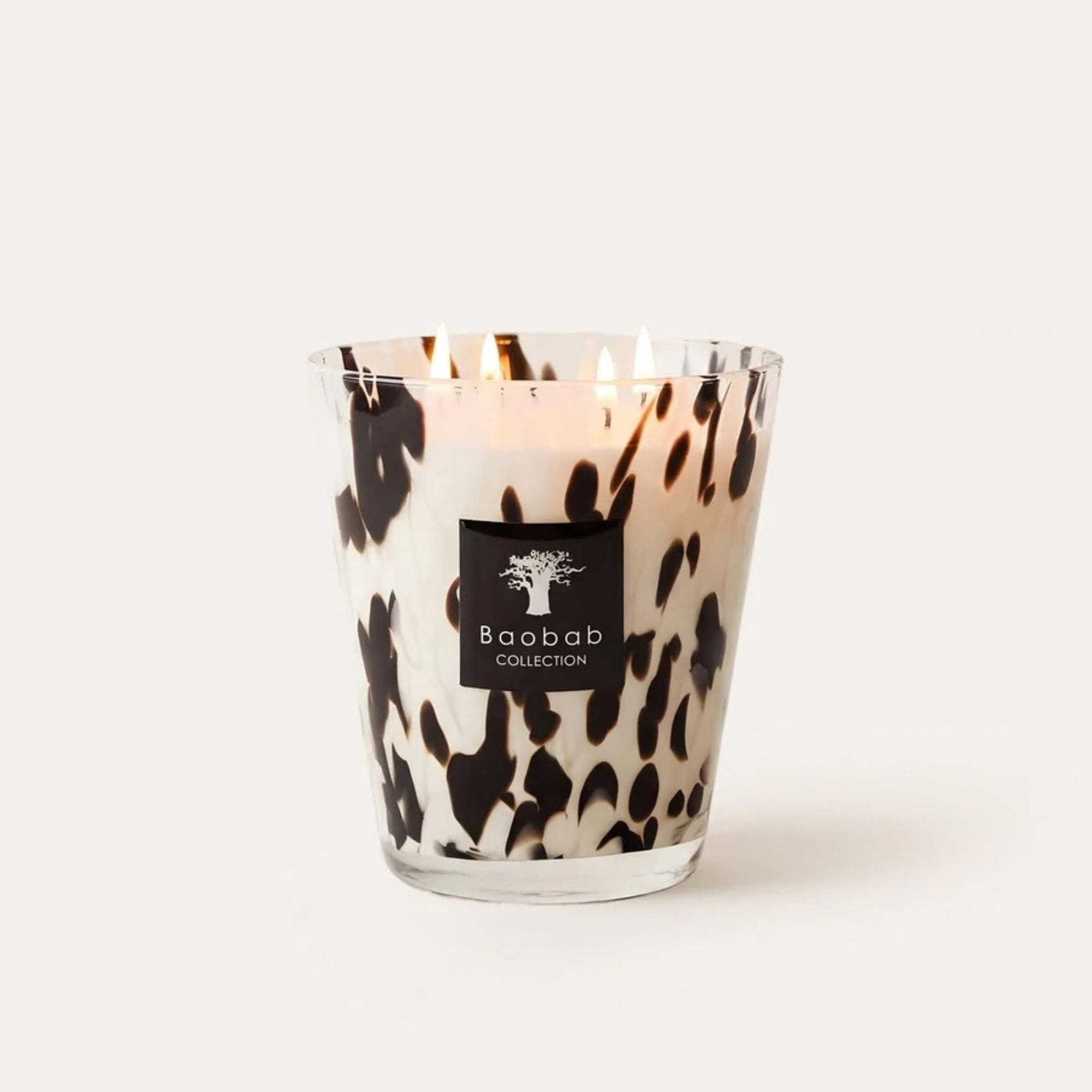 bougie blackpearl 16 - baobab